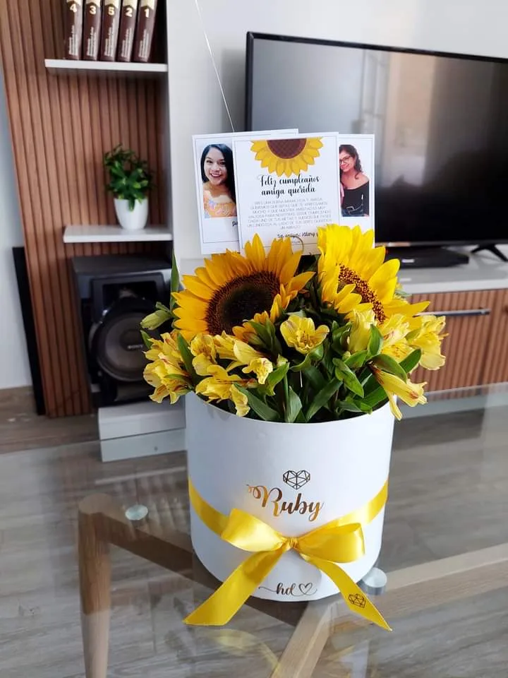 box girasoles