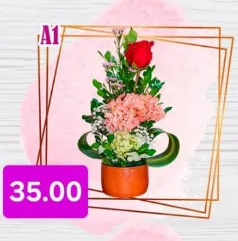 Arreglo Floral con Rosa y Hortensia