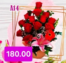 Screenshot 17