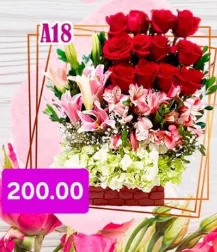 Screenshot 24