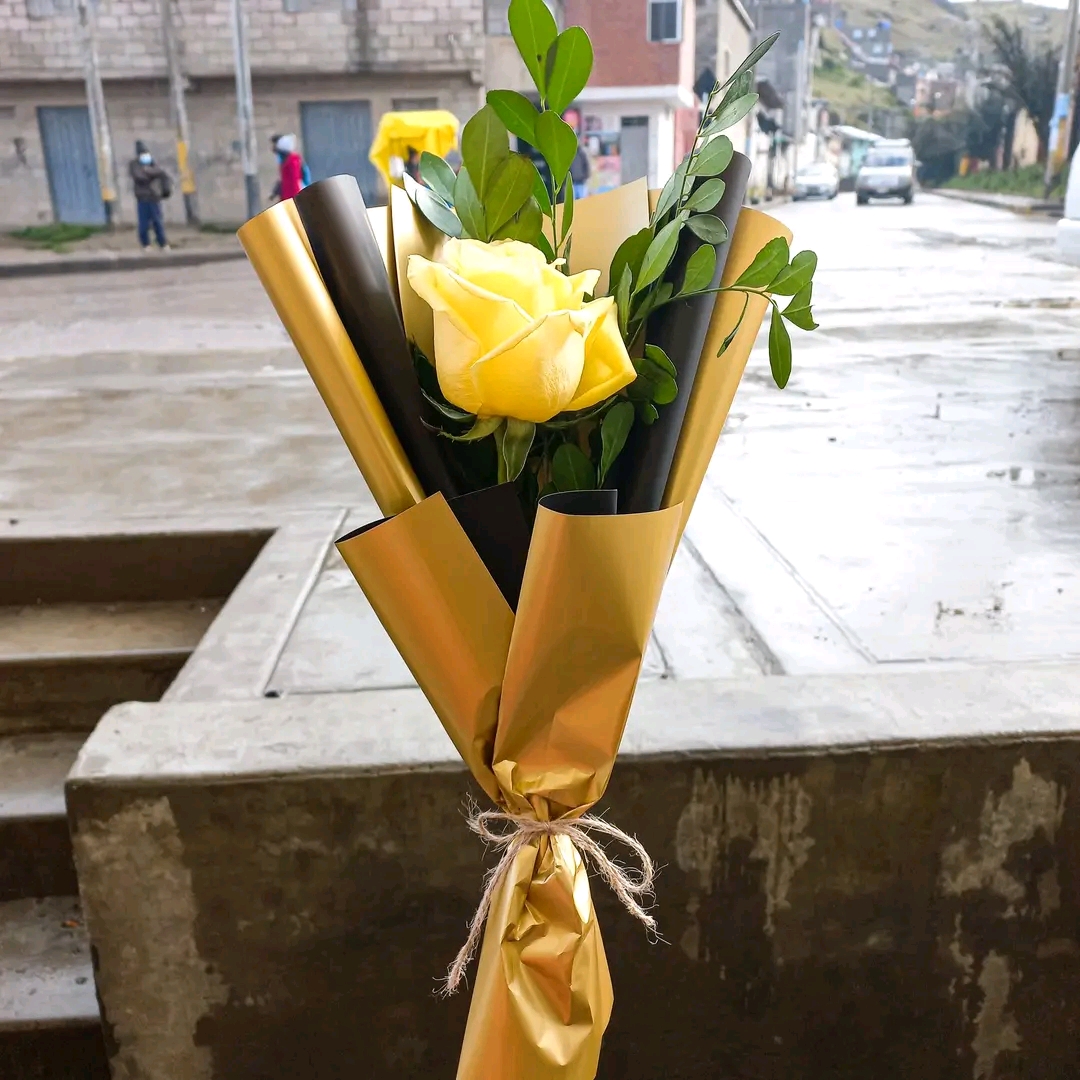 Unidad de rosa