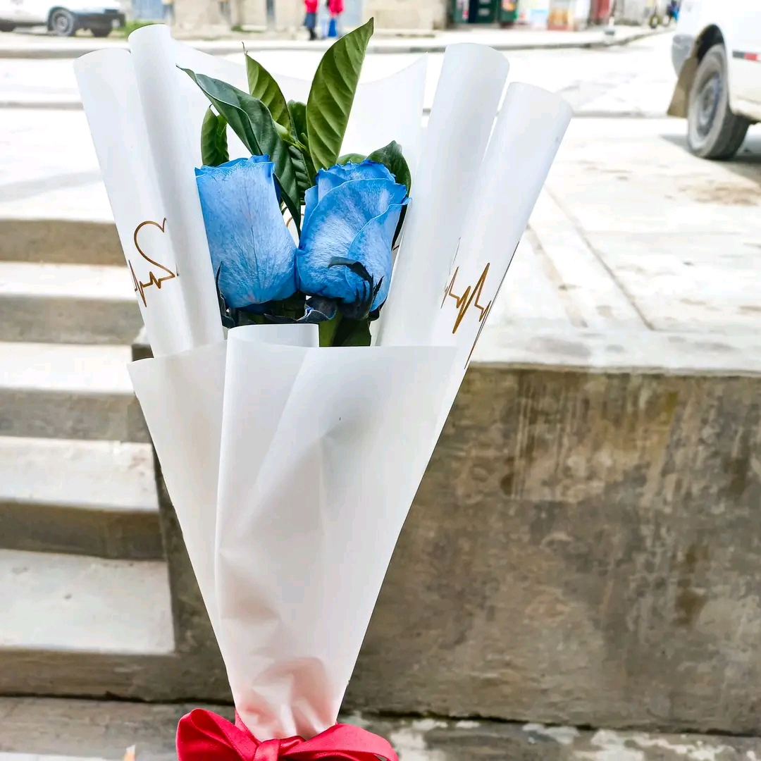 Dúo de rosas