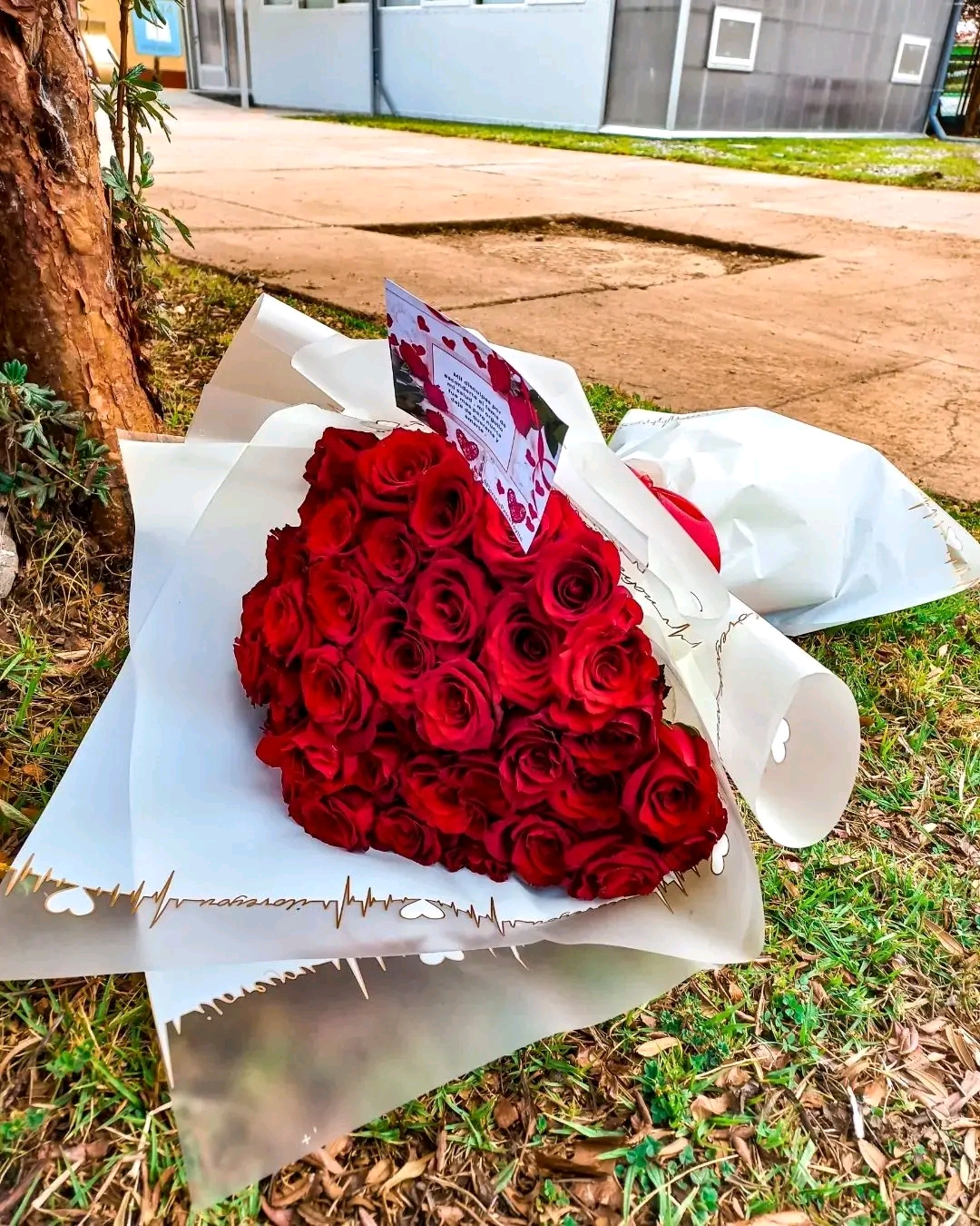 Hermoso ramo de rosas rojas